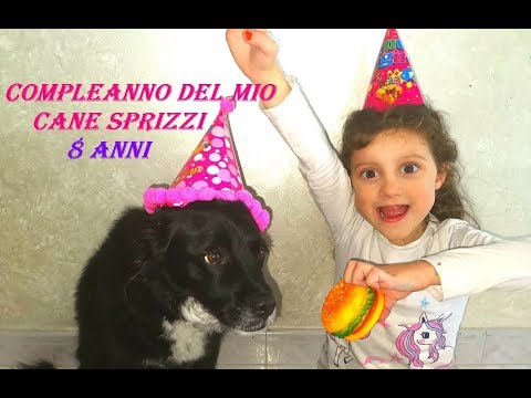 Festa a quattro zampe: una dedica al compleanno del mio cane!